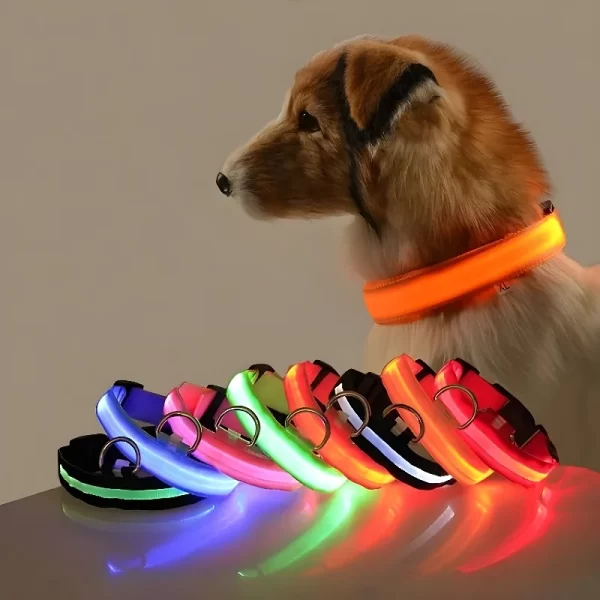 Coleira LED para seu pet , fácil visualização para segurança .